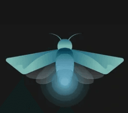 Firefly Labs